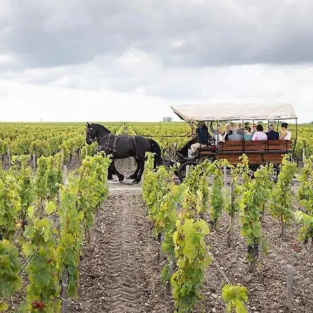 Belle Demeure Médocaine Charme Et Convivialité