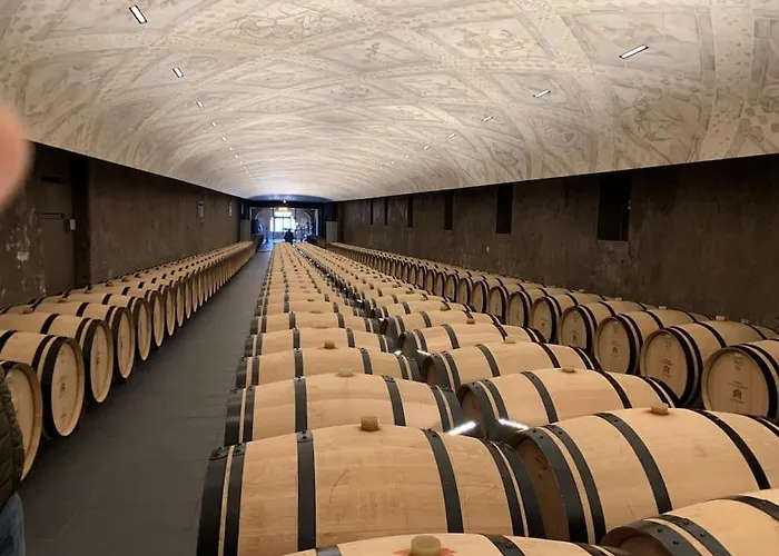 Διαμέρισμα Belle Demeure Medocaine Charme Et Convivialite *