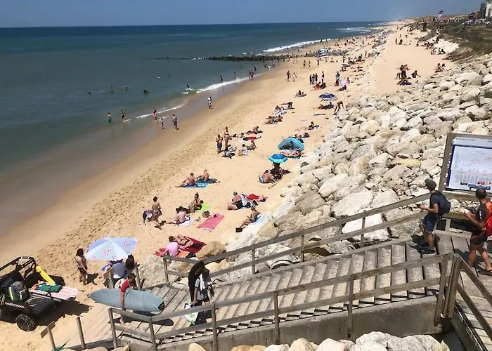 Belle Demeure Medocaine Charme Et Convivialite