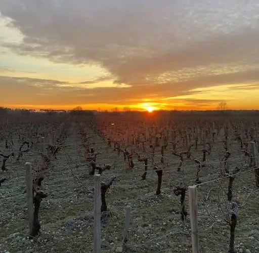 Belle Demeure Medocaine Charme Et Convivialite Διαμέρισμα